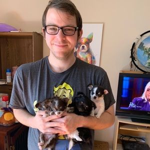 Meet your Posher, Henry